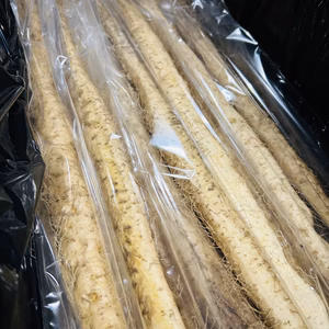 自然薯業務用10Kg 静岡県牧之原産