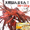 1500円OFF中！初物予約！超高鮮度！活き〆伊勢海老500ｇ1～3尾