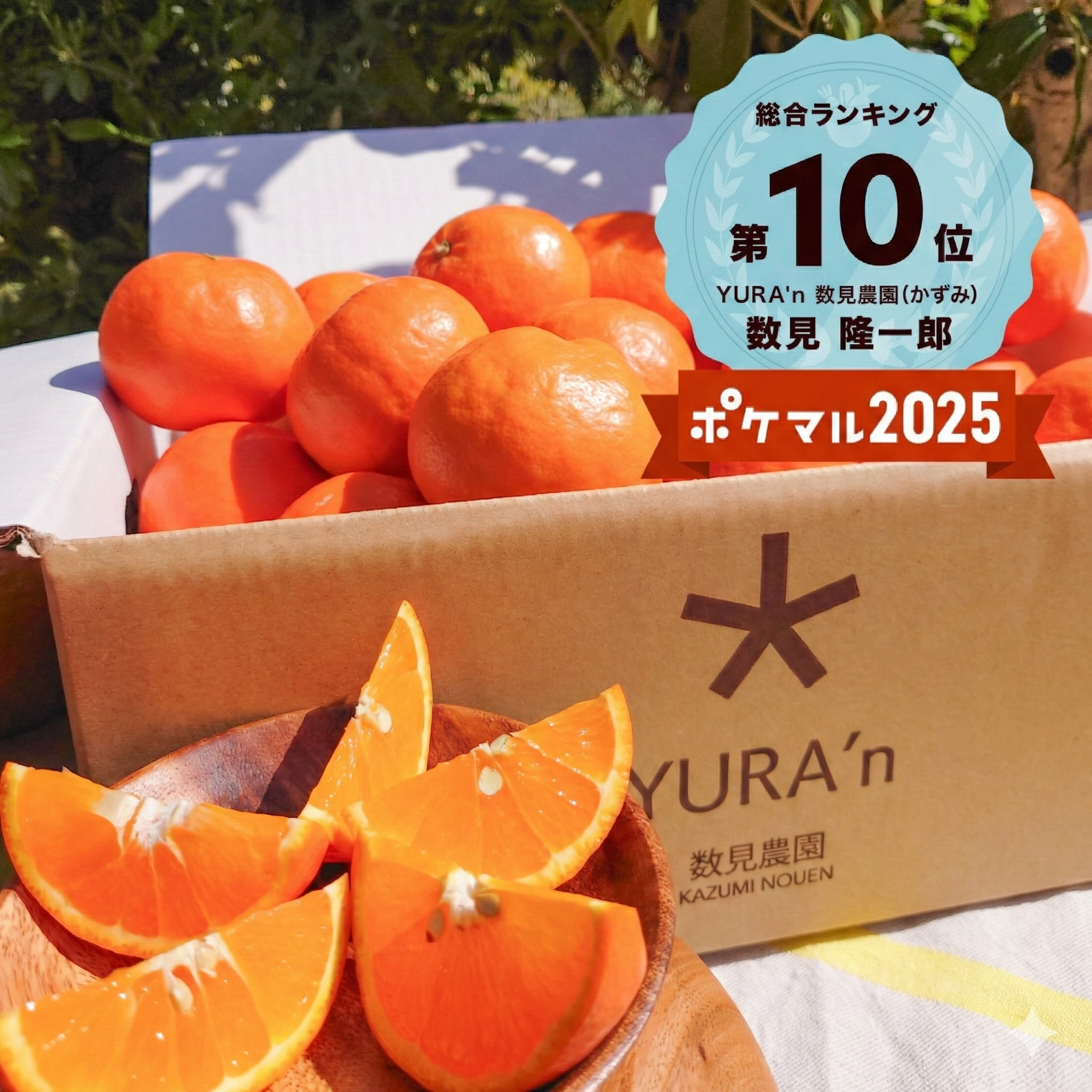 陽の光いっぱいの"セミノールオレンジ" 4月上旬から順次発送、Lサイズ限定 箱込2kg×2箱(大箱に入れて発送)