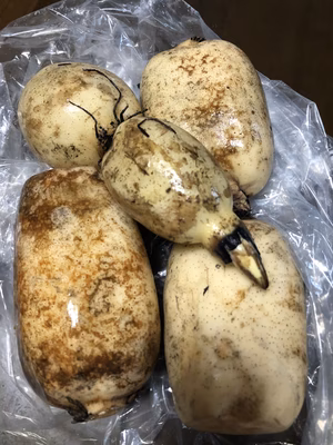 みんなの投稿の画像