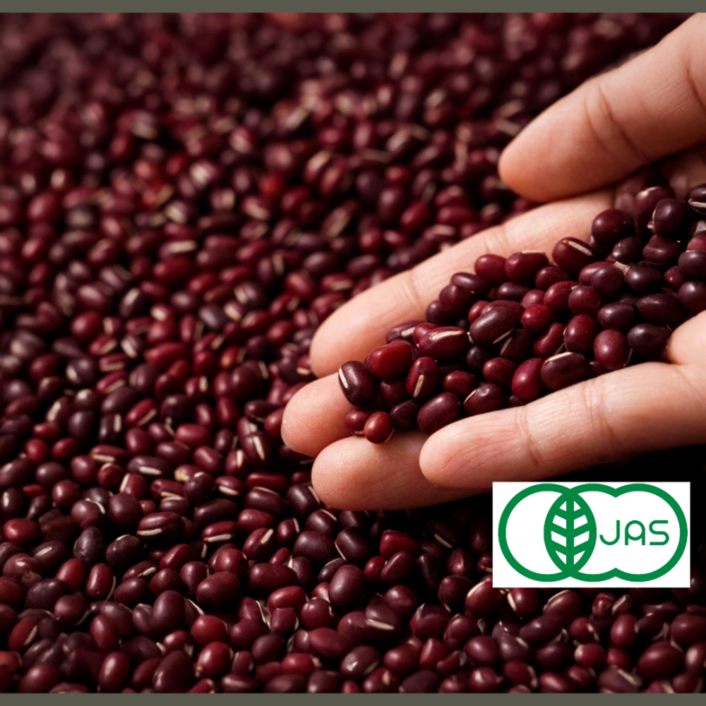 有機小豆北海道の大地で育ったふっくら柔らか「きたろまん」 お試し