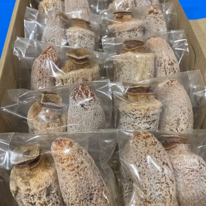 2L ご家庭用お買得！完熟干柿(干し柿)