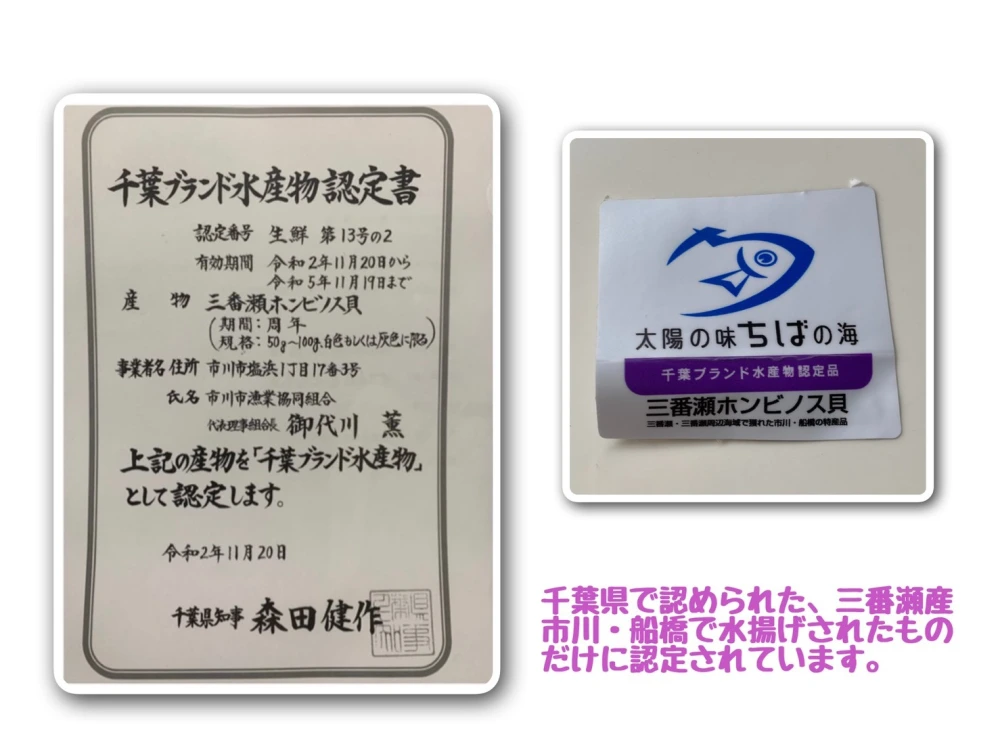 ホンビノス貝　Sサイズ　