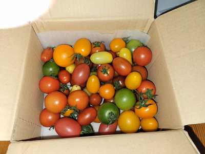 みんなの投稿の画像