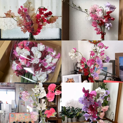 みんなの投稿の画像