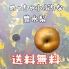 訳あり【本当に小さいサイズ】豊水梨