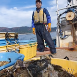 佐々木勝美 | 佐々木さんちの牡蠣