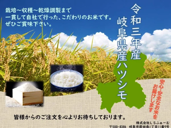 【新米】令和3年岐阜県産ハツシモ　玄米　