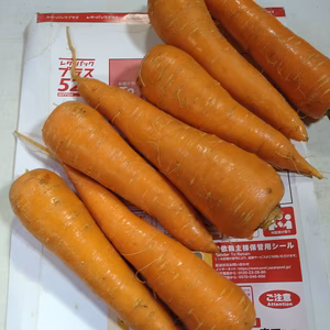 北海道産にんじん❗1.5㎏(サイズL〜2L)