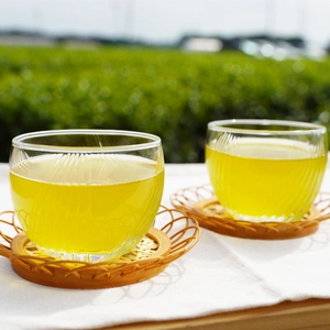 【業務用茶3点セット】猿島茶 ほうじ茶 玄米茶 5g×100 SET-011