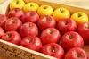 【旬の品種セレクト】季節のりんご