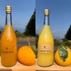 【ギフト】飲み比べ生搾り甘夏ジュースと河内晩柑ジュース