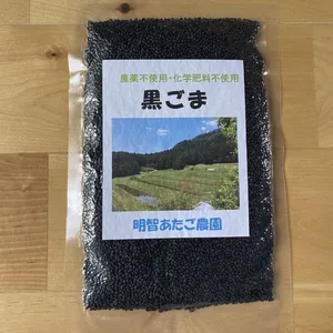【黒ごま】（生・洗いごま）農薬不使用・化学肥料不使用　令和5年　岐阜県産