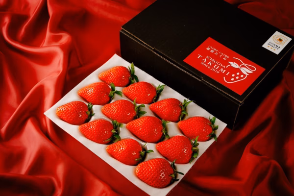 群馬県やよいひめ（いちご）約400g 群馬県いちご品評会最高金賞受賞