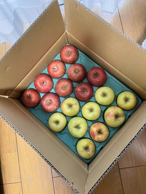 みんなの投稿の画像