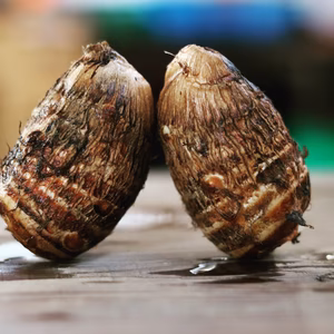 ほっくりしっとり里芋