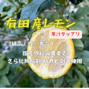 レモン イエローレモン　減農薬 防腐剤防カビ剤一切不用 1級品　和歌山県 有田産