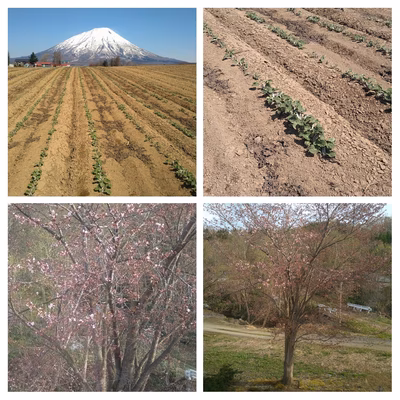 みんなの投稿の画像