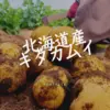 【北海道産キタカムイ】1口サイズ★30年以上作り続けるじゃがいも農家★