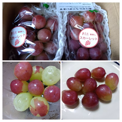 みんなの投稿の画像