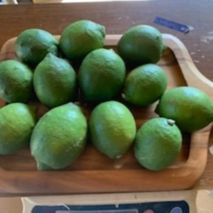 熊本県八代産農薬不使用　青レモン　1kg おまけに柚子つけます。