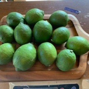 熊本県八代産農薬不使用　青レモン　1kg おまけに柚子つけます。