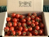 てっちゃんの完熟ミニトマト　こすず　2キロ　日日農園