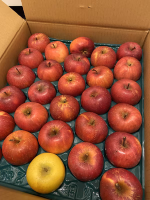 みんなの投稿の画像