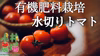 【朝採り】水切りトマト(ミディトマト：フルティカ)【循環型農業】