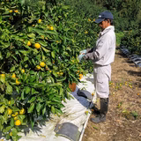 田﨑悦章 | ウナツ農園