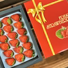 厳選18粒入り　新鮮朝採りいちご