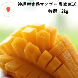 ギフト用 ７月より順次発送　完熟マンゴー2kg　特撰　