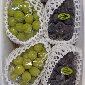 ブドウの詰め合わせ2kg