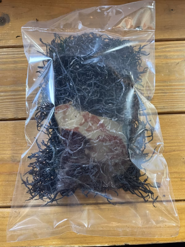釜蒸し乾燥ひじき(釜茹で)