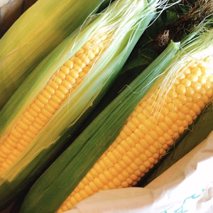 わくわくコーン10本