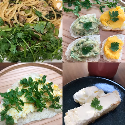 みんなの投稿の画像