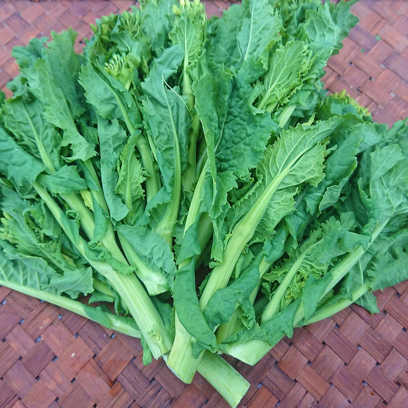 『菜花（なばな、菜の花、なのはな）4kg』朝取り農家直送 200g×20 南房総