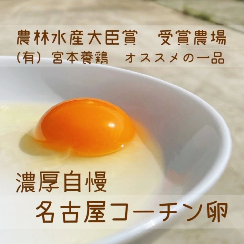 新鮮素材の厚焼き玉子&濃厚自慢の名古屋コーチン卵24個