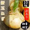 《超お得》10kg★500円！〘 新玉ねぎ 〙リピートの方は10kg400円！