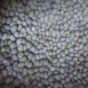 味噌づくり、煮豆に！青大豆