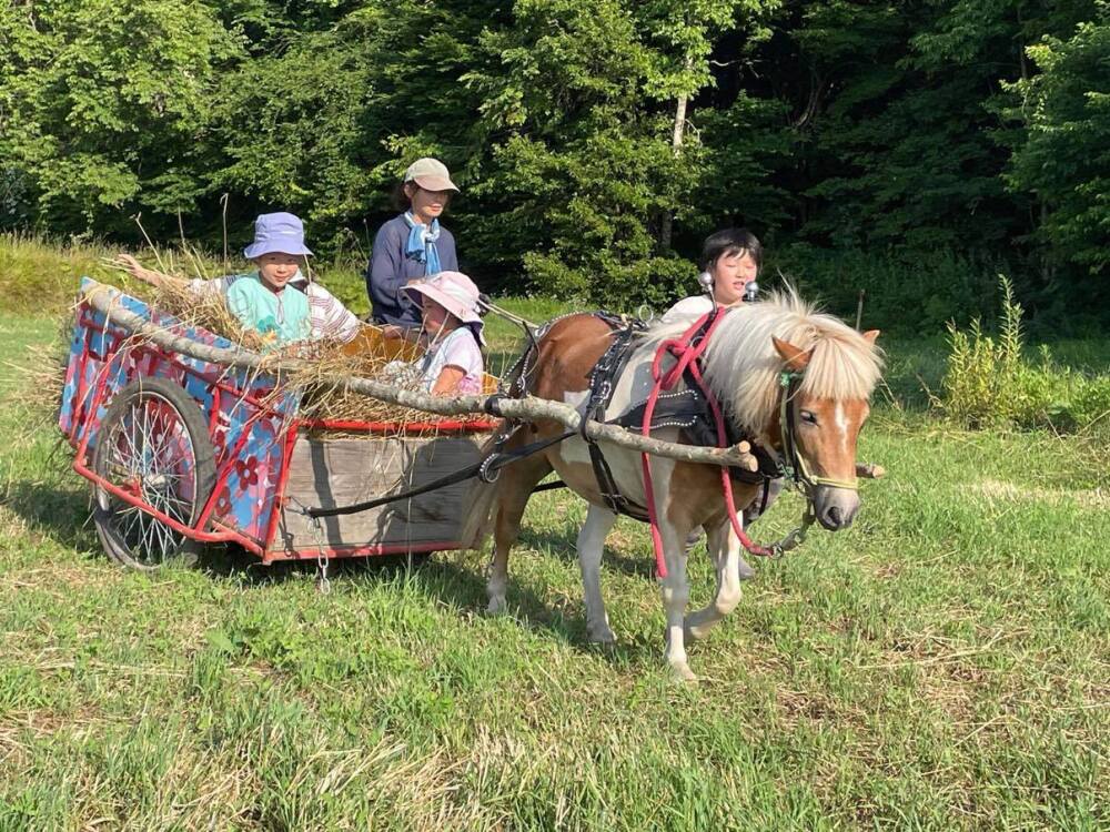 林業家さんと馬搬体験