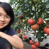 佐藤奈穂子 | （有）東京ドリーム