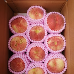 晩生の桃さくら白桃、中玉～大玉　家庭用　数量限定！