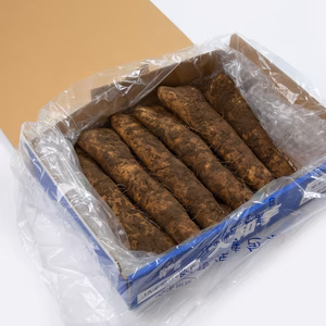 令和6年産 特産 大和芋(やまといも) ギフトBOX