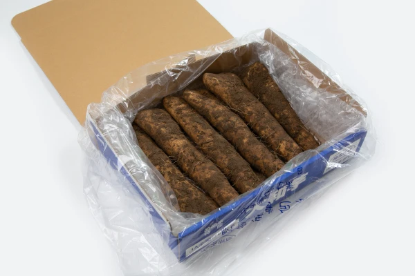 令和6年産 特産 大和芋(やまといも) ギフトBOX