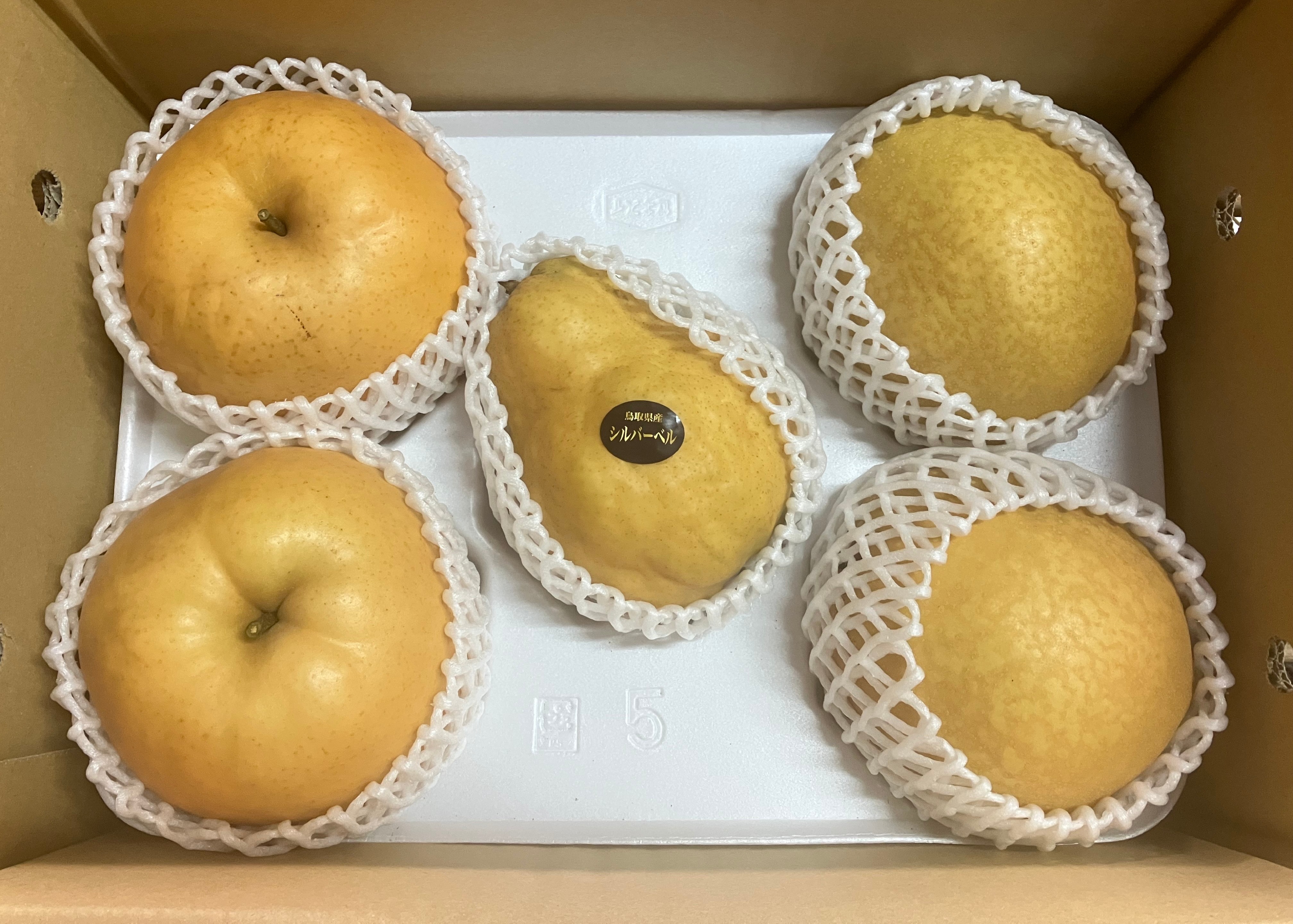 王秋の産直通販・お取り寄せ商品｜ポケットマルシェ｜産地直送で旬の