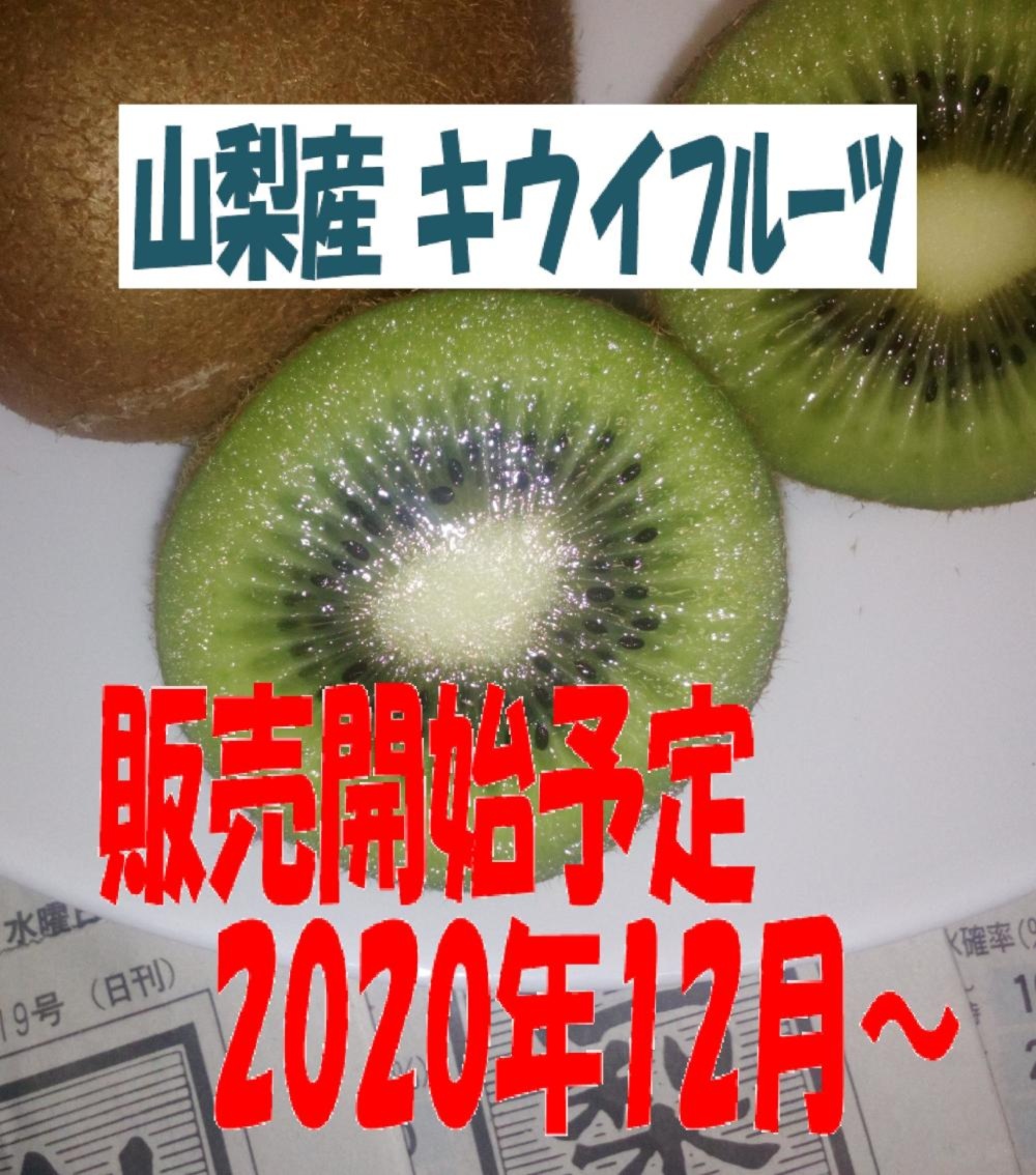 山梨産 食べくらべdryキウイ 皮まるごとキウイと皮なしキウイ 農家漁師から産地直送の通販 ポケットマルシェ