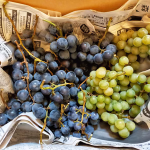 青森県産　ブドウミックス　家庭用