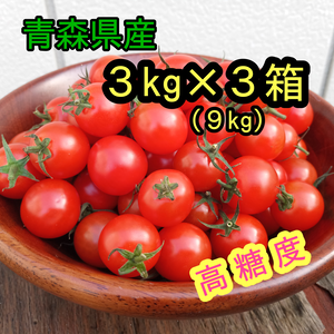 【お得な大容量】ミニトマト　９kgセット　青森県産　プチトマト