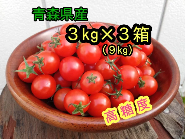 【お得な大容量】ミニトマト　９kgセット　青森県産　プチトマト